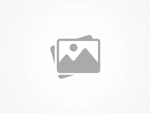 Electrical Systems and Components